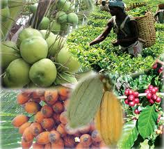 Horticulture Sector